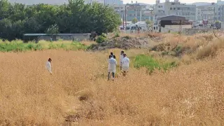 Şanlıurfa’da tarlada erkek cesedi bulundu