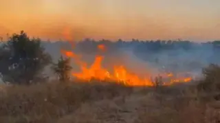 Meriç’teki yangın rüzgarın etkisiyle yayılıyor