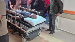 Ayının saldırdığı çobanı köpekleri kurtardı