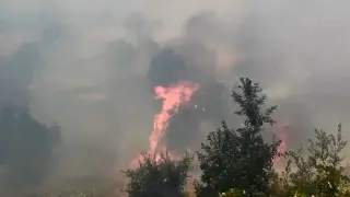 Diyarbakır’da örtü ve orman yangınında geniş alan zarar gördü