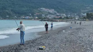 Karadeniz’de balık bolluğu yaşanıyor: Oltasını kapan deniz kenarına koştu