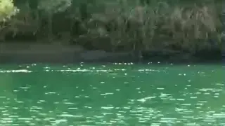 Şırnak’ta 4 kadının bindiği bot devrildi: 1 ölü