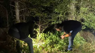 Kütahya’da ormanlık alanda silahlı yaralama: 1 kişi yakalandı
