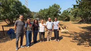AYTO, Aydın İnciri’nin marka değerini korumaya devam ediyor