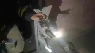 Yangında mahsur kalan kediler ekipler tarafından kurtarıldı