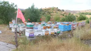 Erzincan’da arıcılık ve vatan sevgisi aynı arılıkta buluştu