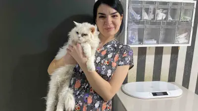 Evcil hayvanlarınızı evde tek bırakırken dikkat