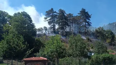 Sinop’taki orman yangınıyla ilgili 1 kişi tutuklandı