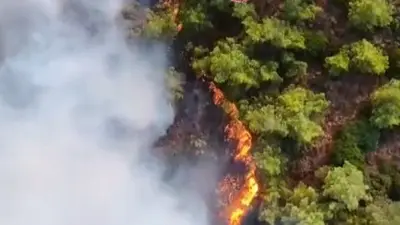 Marmaris’teki yangında hava müdahalesi başladı