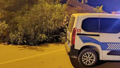 Beyşehir’de yola ağaç devrildi