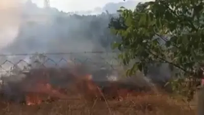 Otluk alandaki yangında meyve ağaçları zarar gördü