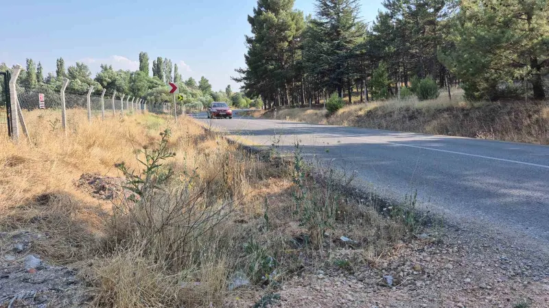 Mahalle muhtarından yol kenarlarındaki kurumuş otlar için ’yangın’ uyarısı