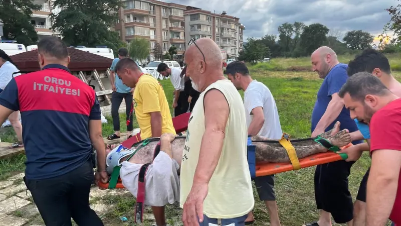 Ordu’da denizde akıntıya kapılan 3 kişi kurtarıldı