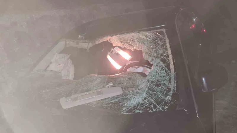 Yola çıkan ineğe çarpan araç takla attı: 6 yaralı
