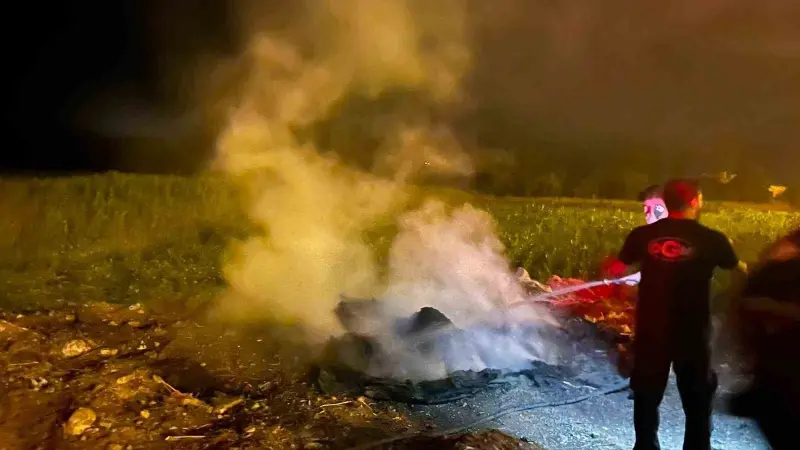 Bilecik’te yol kenarındaki çöp birikintisi alev aldı
