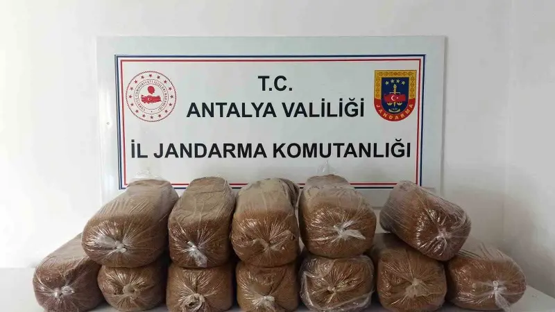 Antalya’da üç ilçede kaçak tütün operasyonu: 785 kilogram tütün ele geçirildi