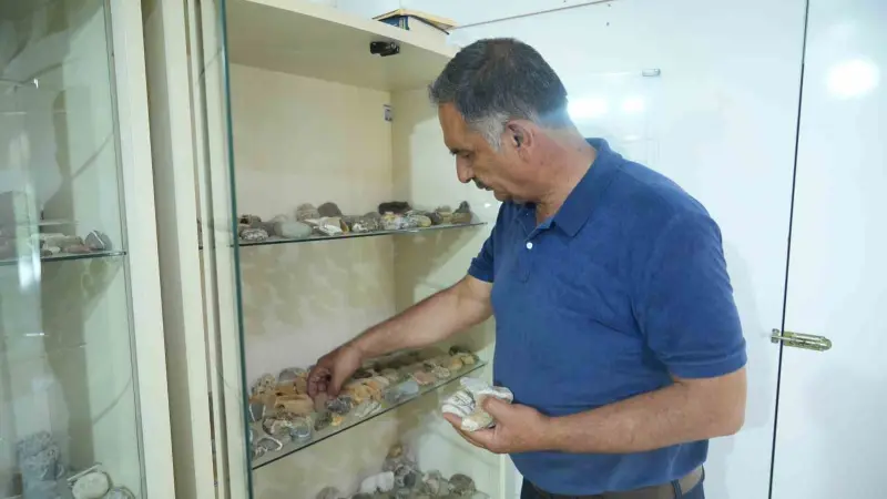 Çobanlık yaparken başlayan taş merakı 40 yıllık koleksiyona dönüştü