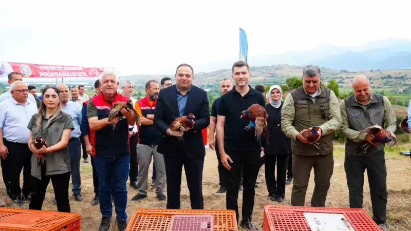 Erbaa Belediyesi’nden keneyle mücadeleye halkalı sülün ve kekliklerle destek