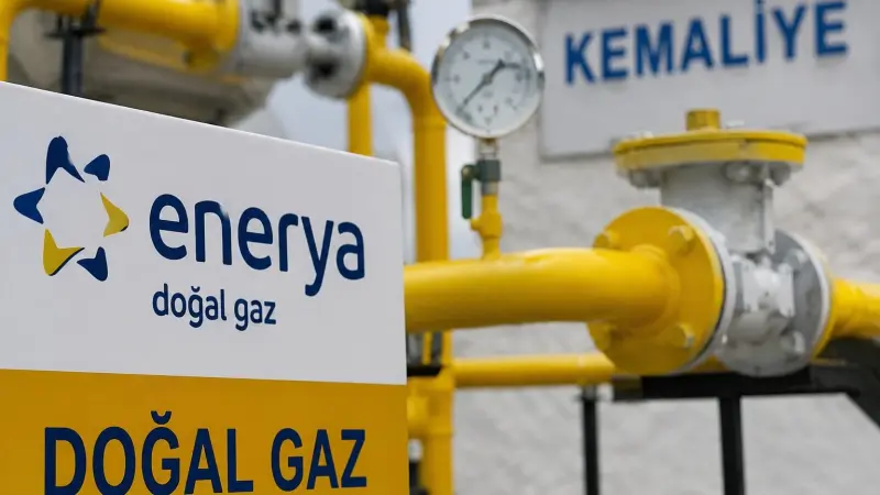 Kemaliye’nin doğal gaz lisans kapsamına alınması onaylandı