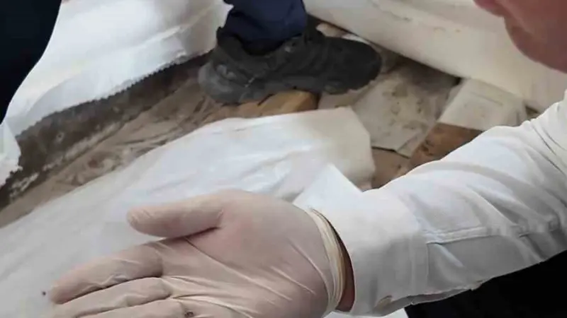 Fare dışkısından ve böcekten geçilmeyen fırındaki dondurucudan paslı keser çıktı