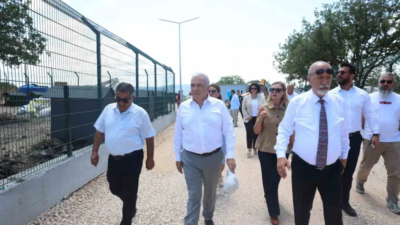 Nilüfer’de sahipsiz hayvanlar için yeni yuva