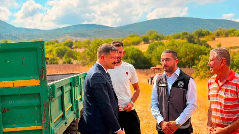 Bilecik’te ayçiçeği ekimi 3 yılda 11 bin 700 dekar arttı