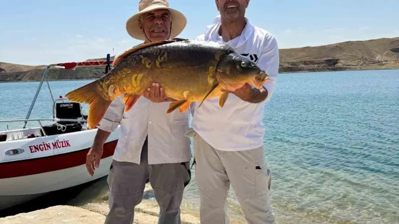 Keban Baraj Gölü’nde 27 kiloluk dev sazan yakalandı