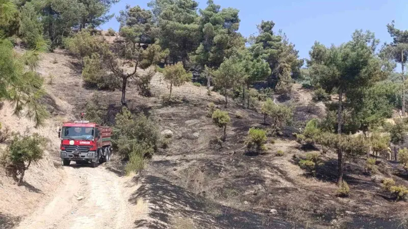 Kahramanmaraş’ta orman yangını kontrol altına alındı