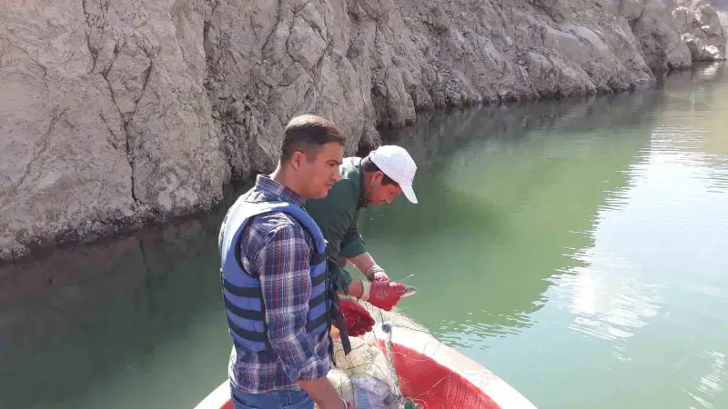 Van’da sazangiller av yasağı sona erdi