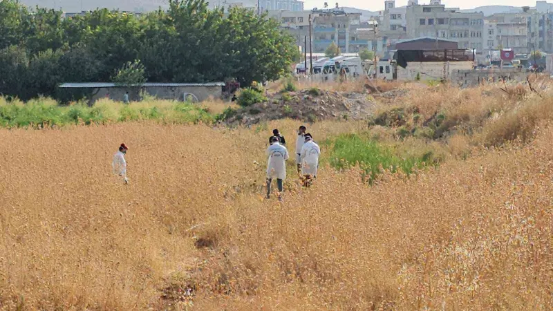 Şanlıurfa’da tarlada erkek cesedi bulundu
