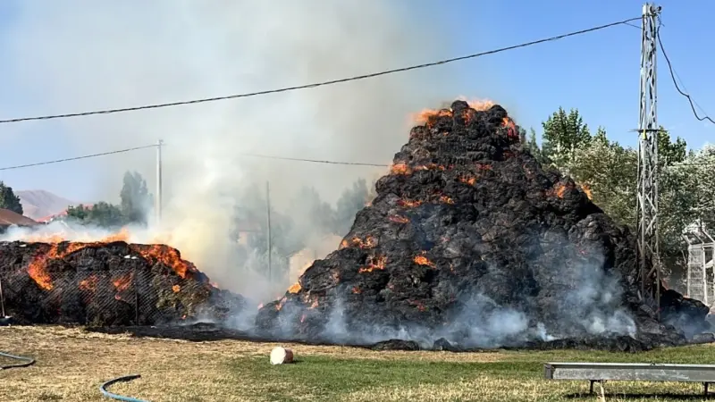 Yüksekova’da 6 bin 500 bağ ot kül oldu
