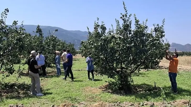 Bilecik’te bitki hastalıkları ve zararlılara karşı saha kontrolü