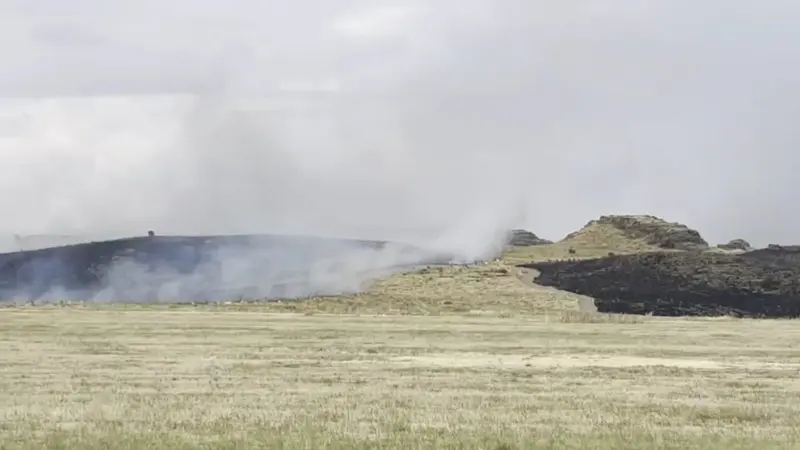 Ahlat-Tatvan yolunda otluk alanda yangın paniği