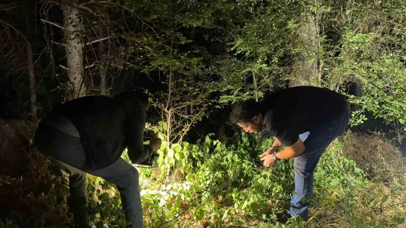Kütahya’da ormanlık alanda silahlı yaralama: 1 kişi yakalandı