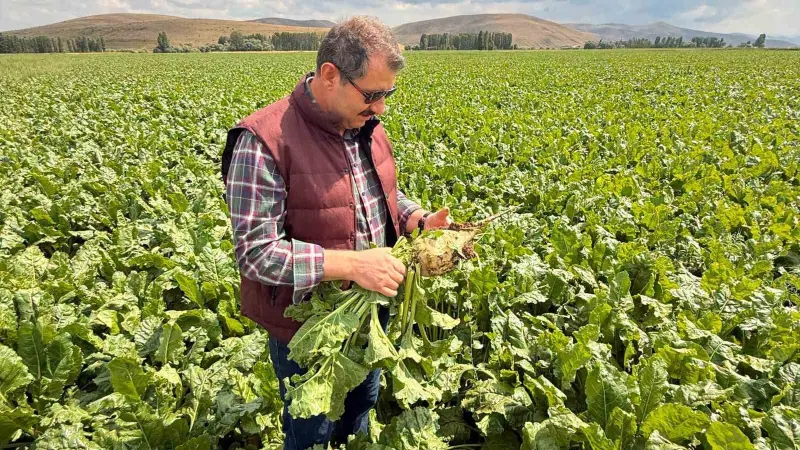 Milli Savunma Bakan Yardımcısı Ayhan’dan memleket paylaşımı