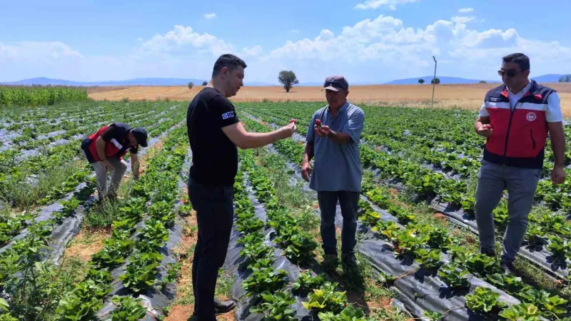 Aslanapa’da çilek ve biber üreticisine ziyaret