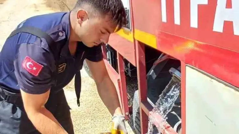 Eskişehir’de alevlerin arasında kalan kaplumbağayı itfaiye kurtardı